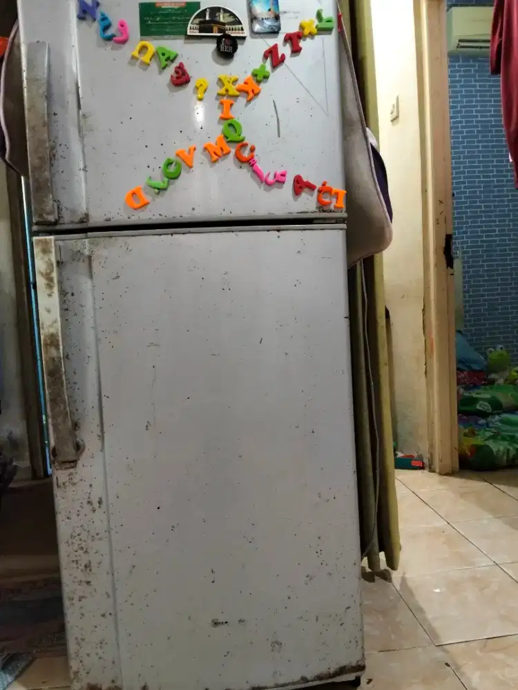 Sharp 2 Pintu, dingin