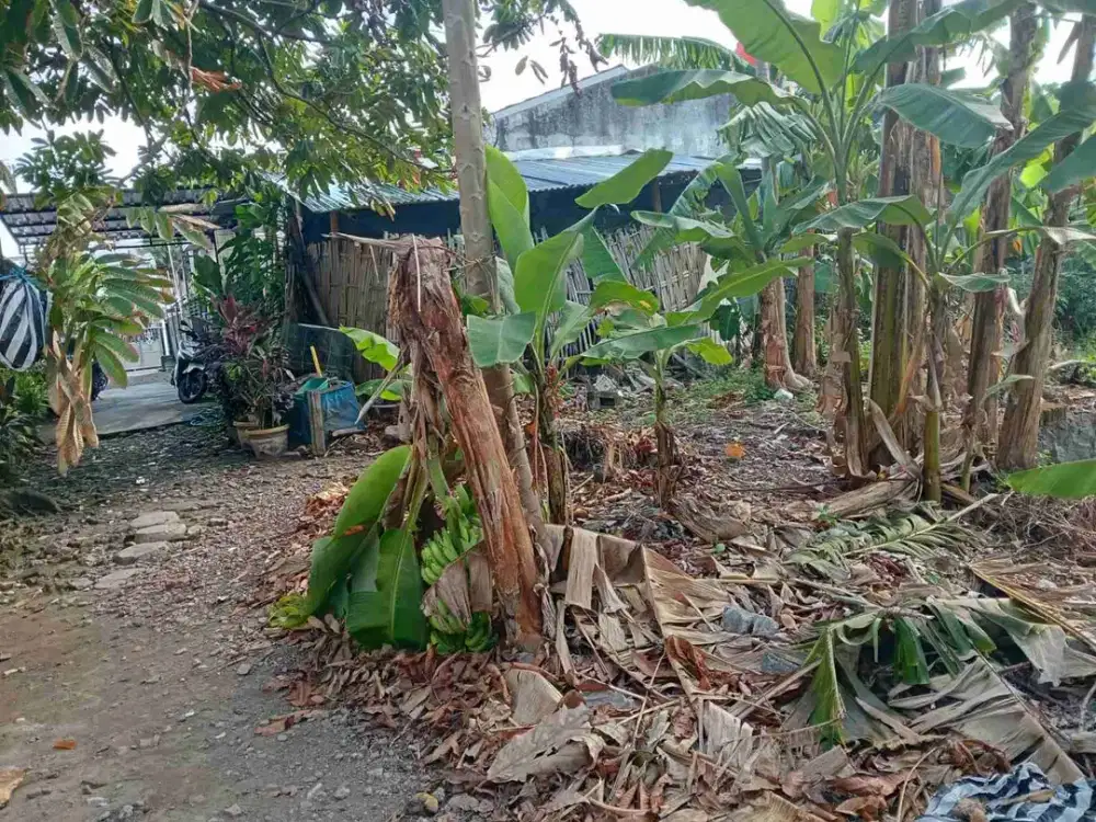 tanah murah dalam kota solo dekat gor manahan