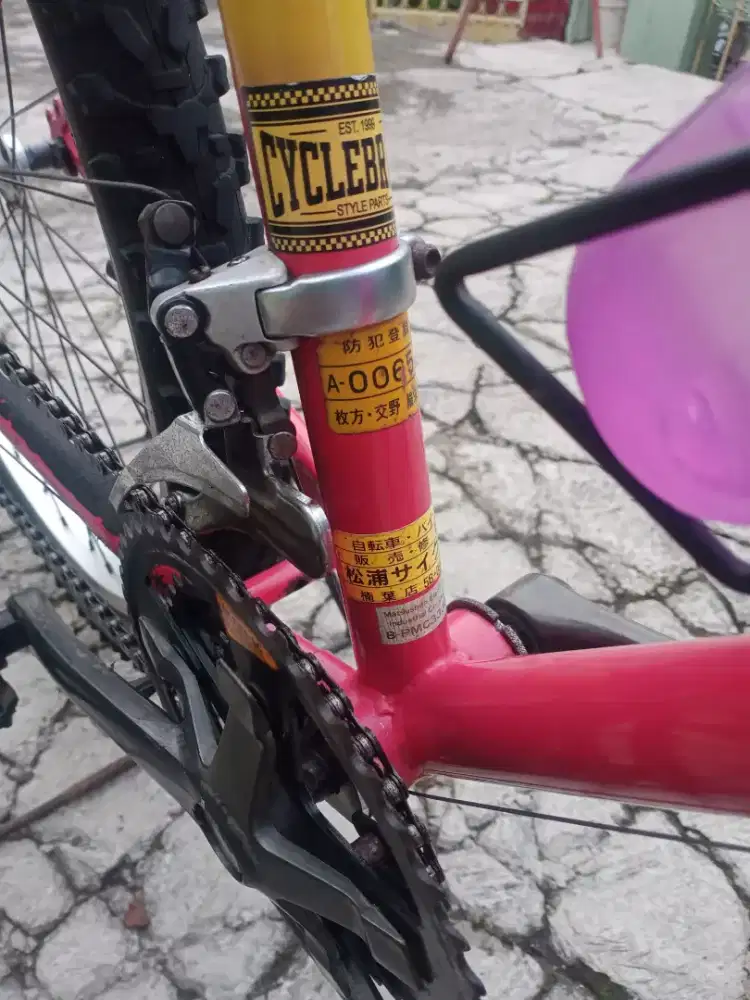 Sepeda Panasonic Original japan