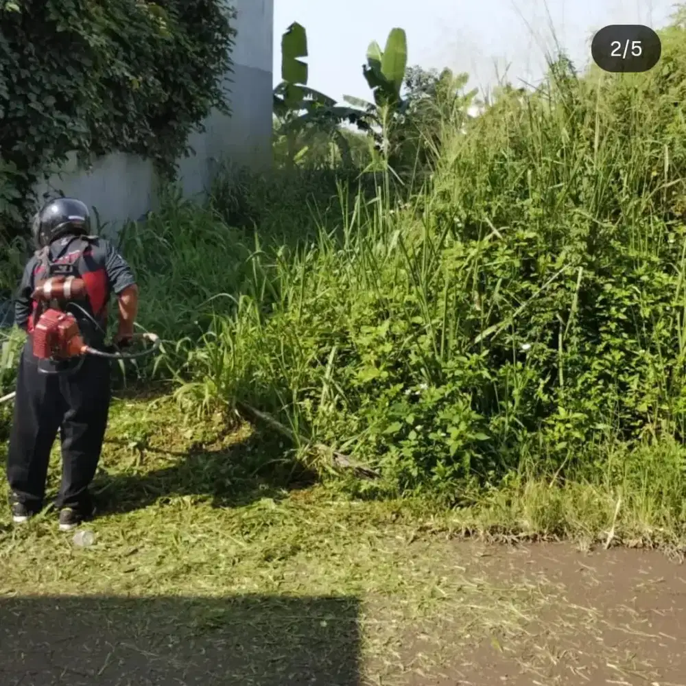 JASA POTONG RUMPUT