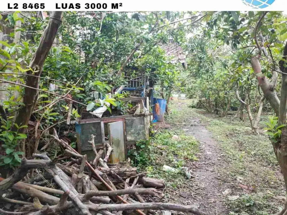 tanah perkebunan murah poros jalan di Giripurno Batu