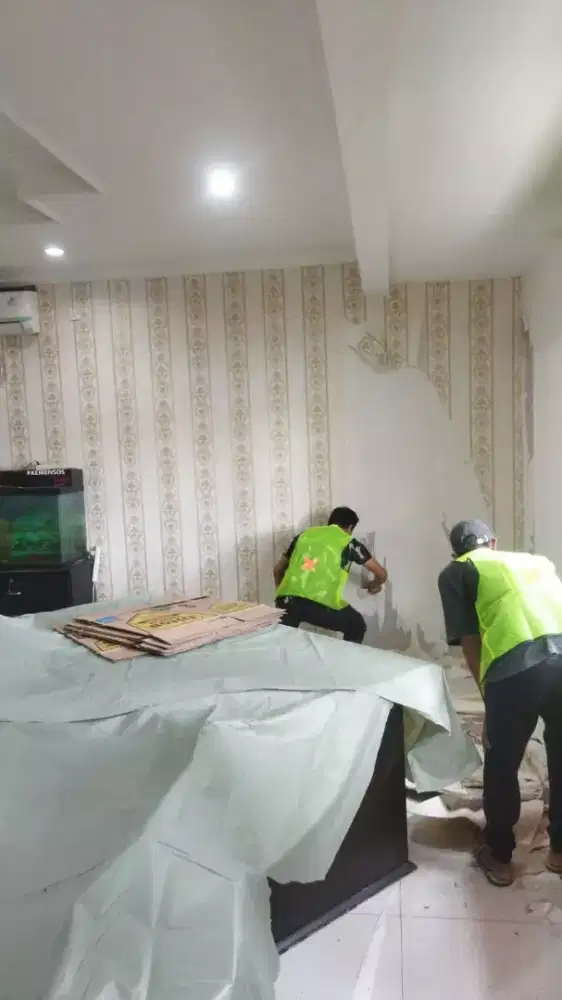 Renopasi dan pengecetan