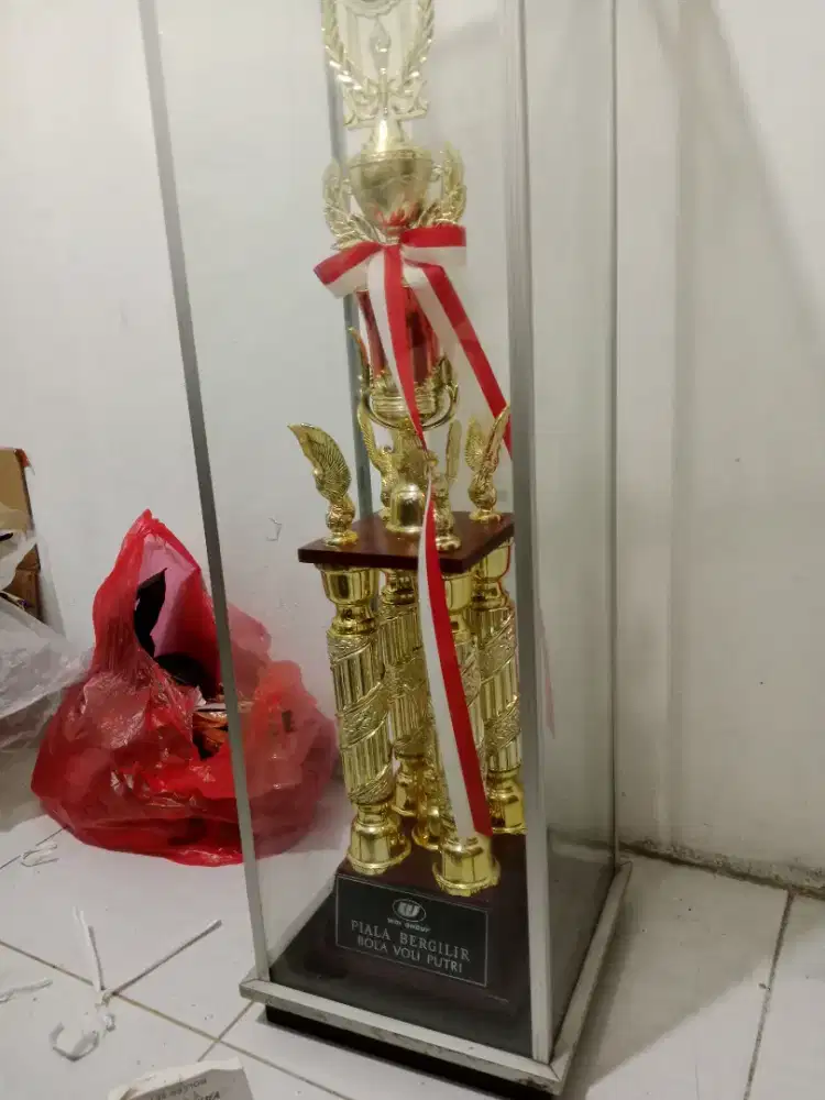 viagam bola volly putri WON GRUP