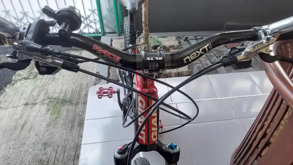 Sepeda gunung Giant carbon