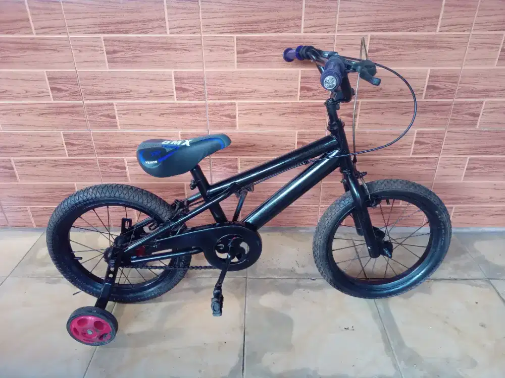 D jual cepet sepeda ank ring 16