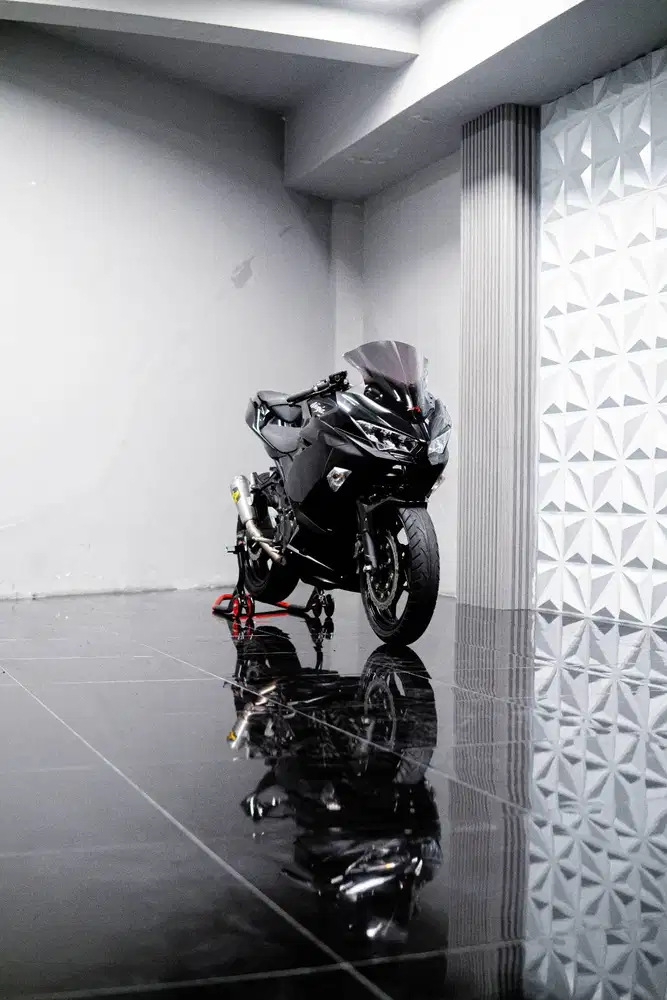 Kawasaki Ninja 250FI 2018