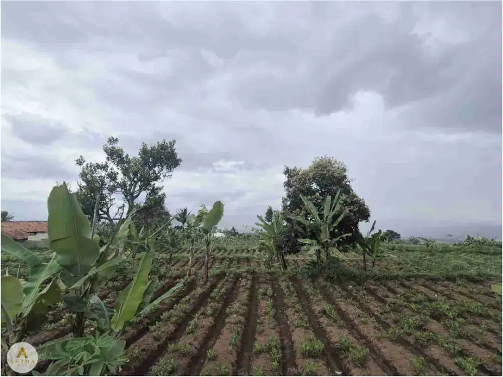 Dijual Tanah Dekat Kantor Pemda Bandung Barat Padalarang