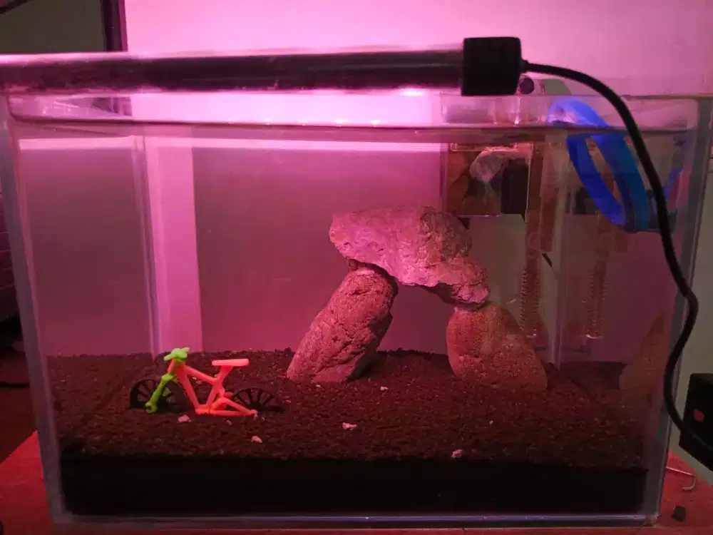 Dijual 1 Set Aquarium Aquascape