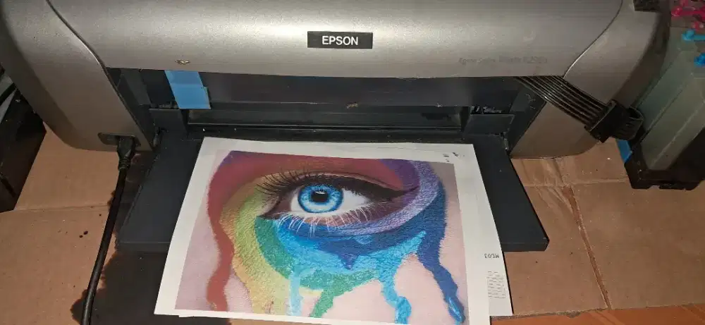 Epson R320 Stylus Foto