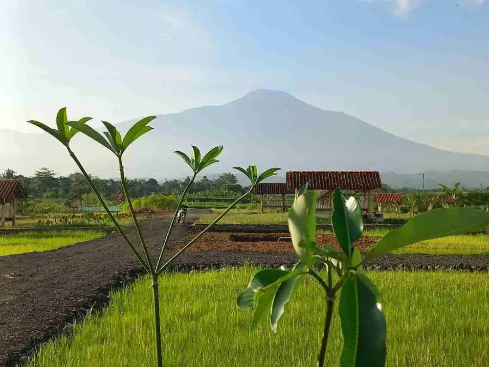 JUAL TANAH PURWOKERTO VIEW EKSOTIS TERLARIS, FREE BIAYA SHM, DEKAT BATURADEN & UNSOED