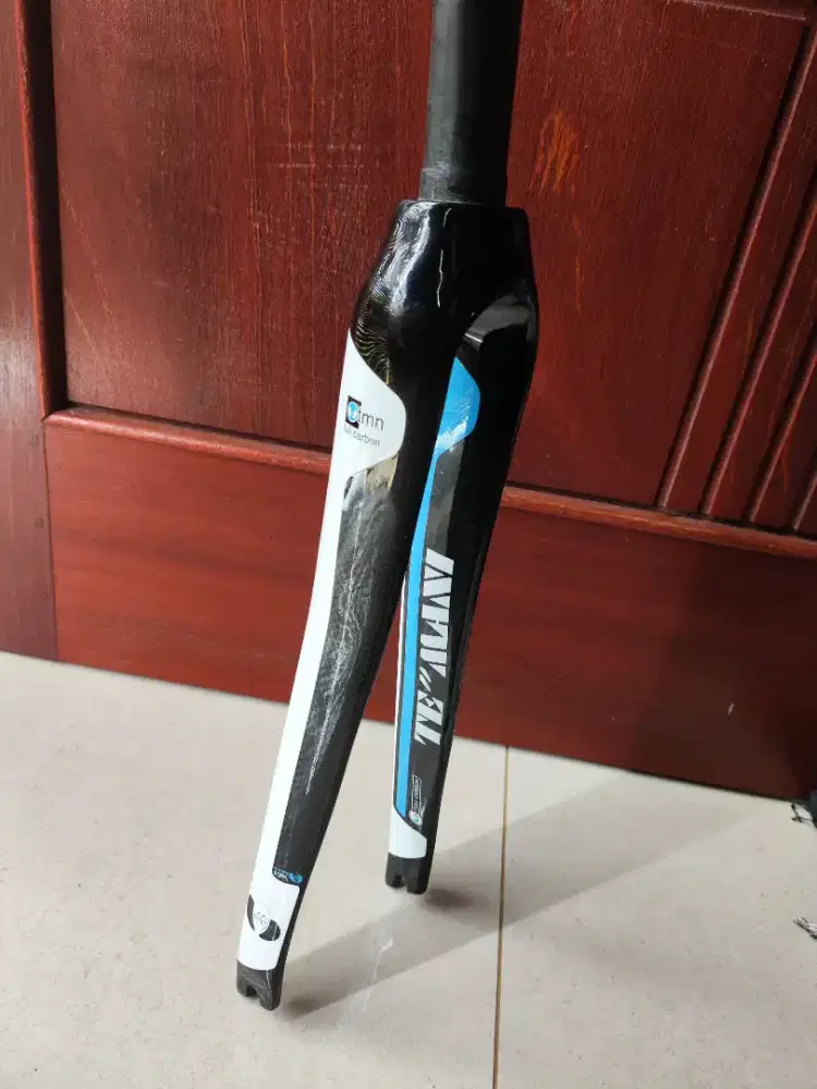Fork carbon temani fullcarbon roadbike