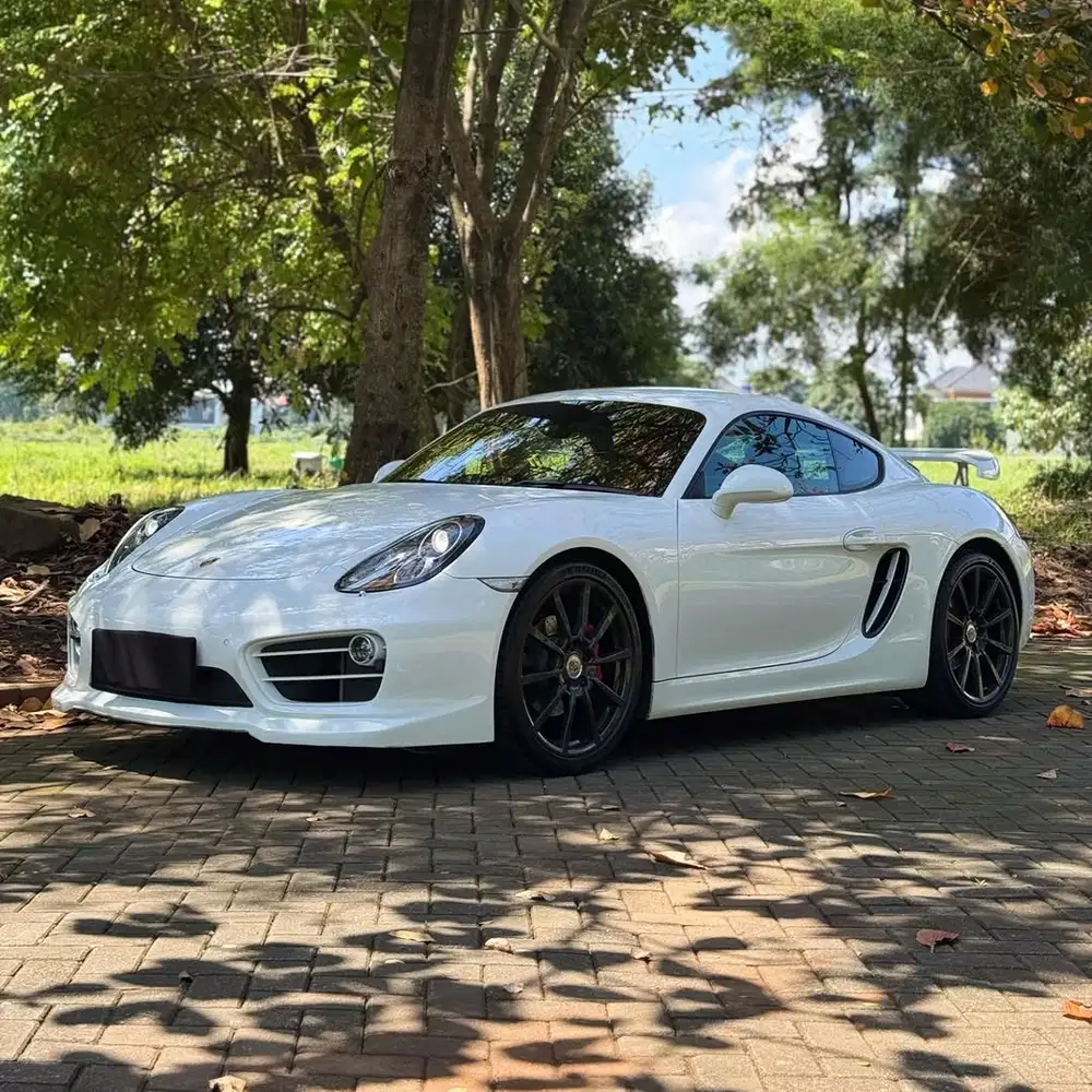 Porsche Cayman 2014 Bensin