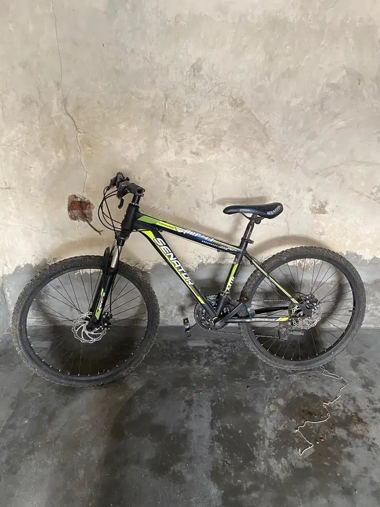 Sepeda Senator MTB
