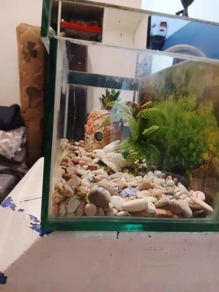 Akuarium full set 30cm x 15 cm siap pakai