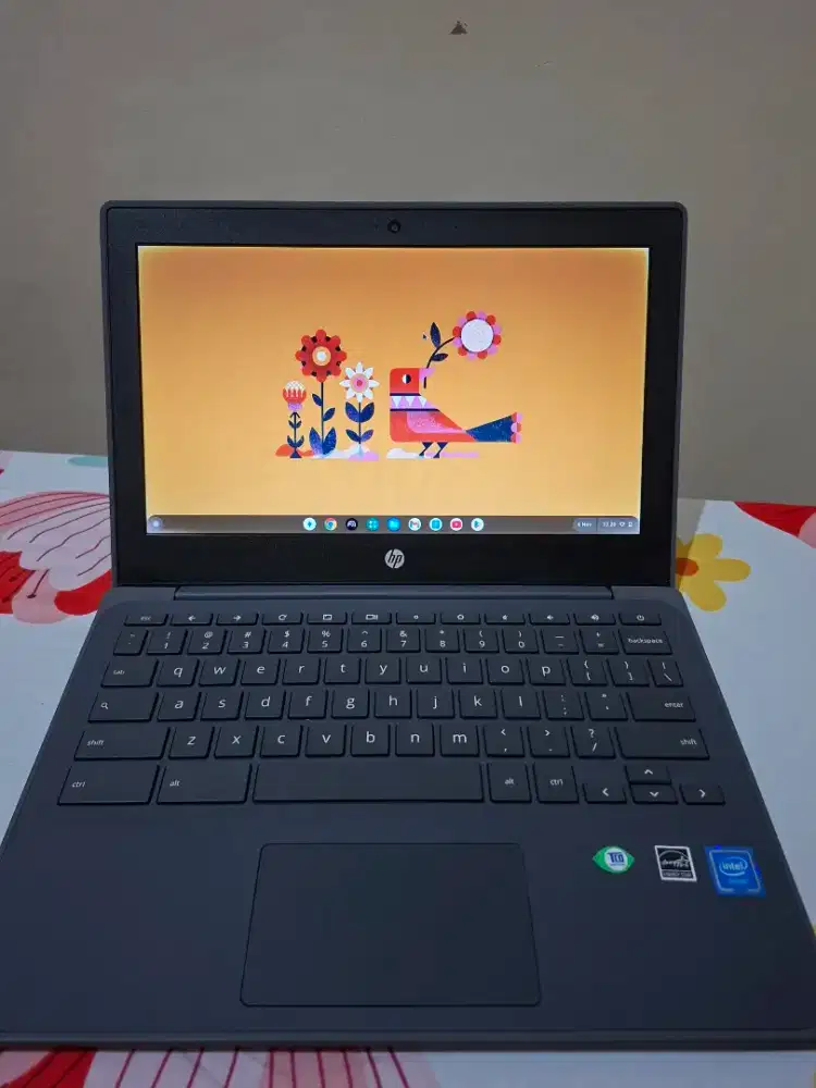 Laptop Hp Chromebook Second Like New
