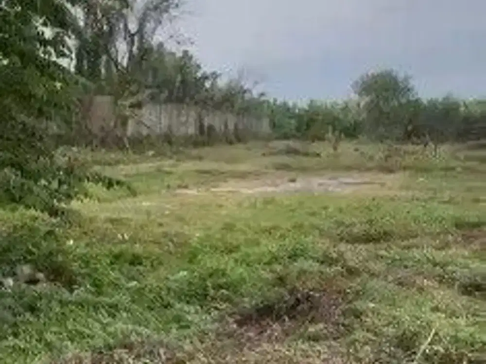 Tanah Legok luas 7 hektar ,pinggir jalan raya