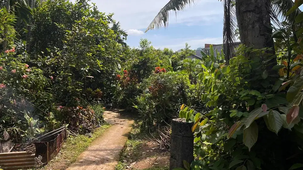 Dijual Cepat Tanpa Perantara Tanah SHM Lokasi Strategis