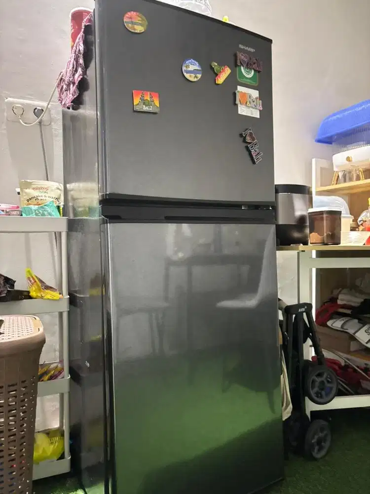 Kulkas sharp 2 pintu