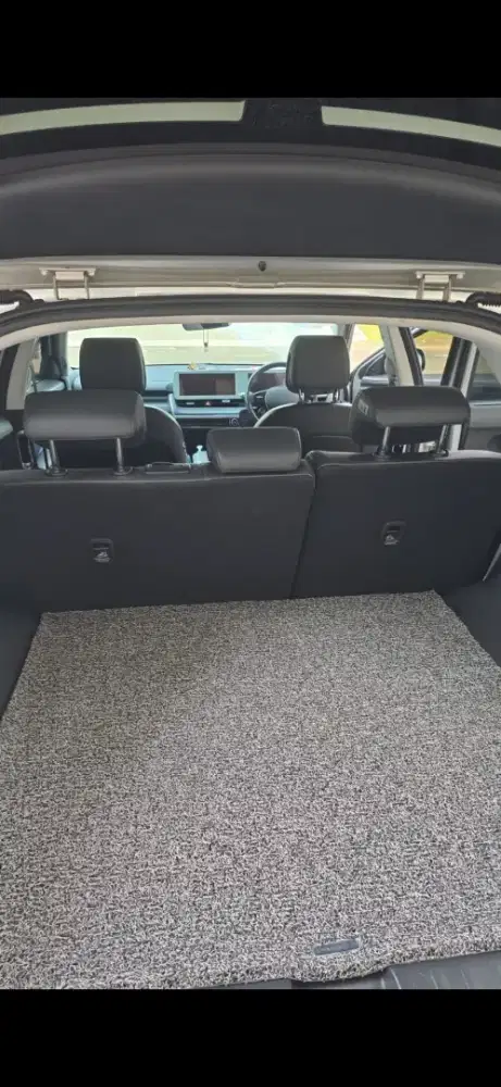 Ionik 5 gold matte signature long range Full PPF TPU