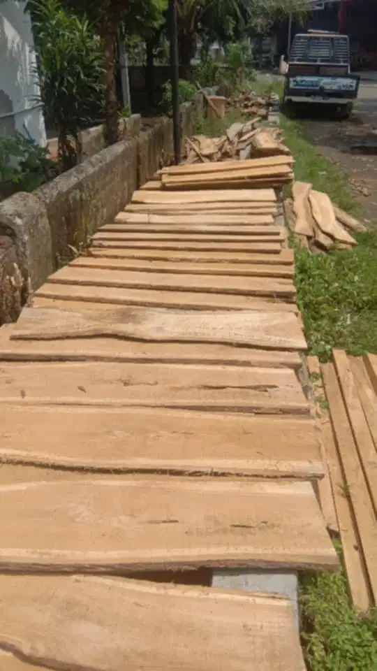 papan kayu jati murah