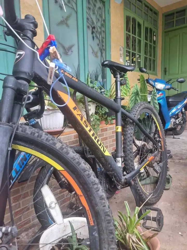 MTB FASTRON F-260