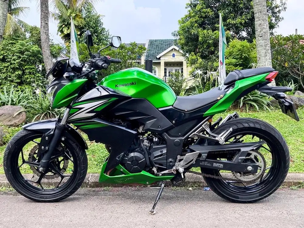 Kawasaki Z250 2015 Low KM
