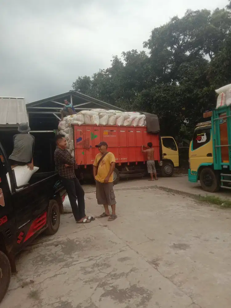 Jual Cepat Pabrik Padi/Beras Huller.