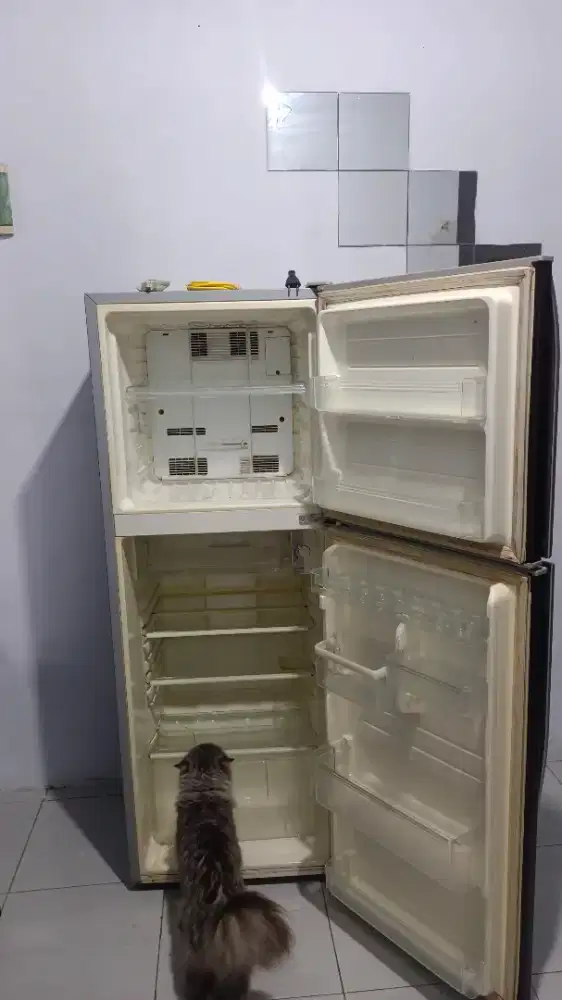 Kulkas Sharp 2 pintu