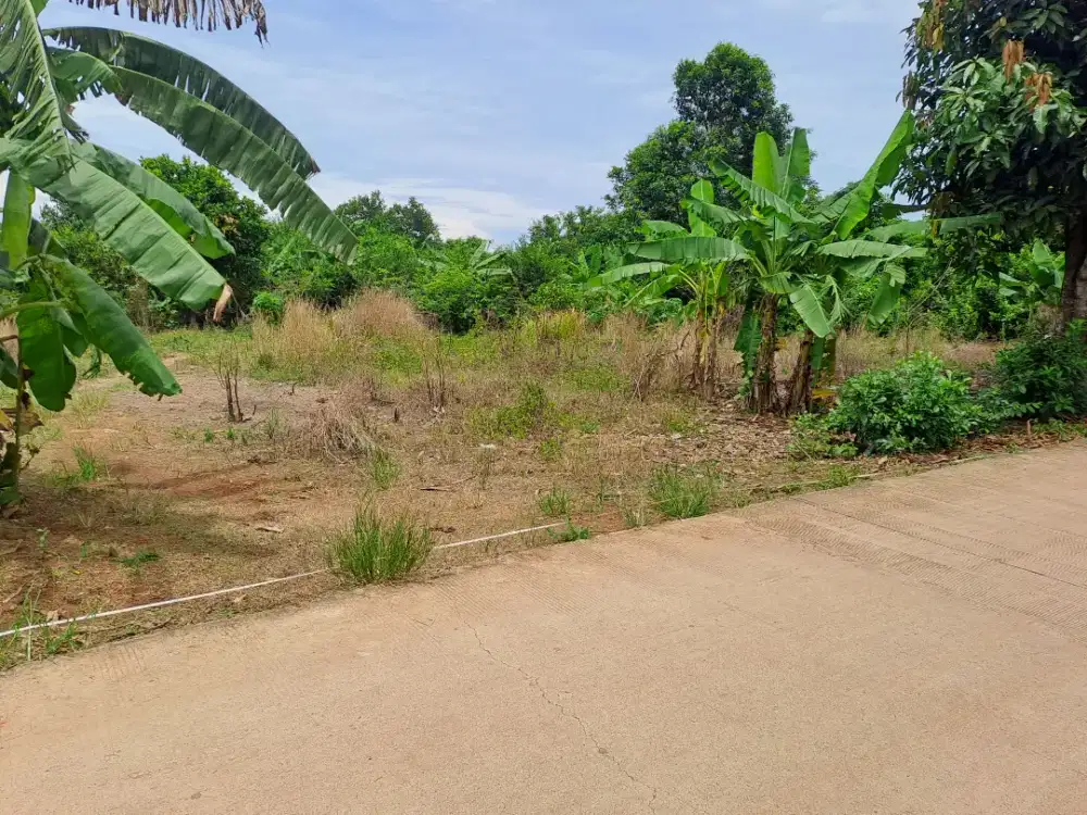 Dicari jaga villa dan merawat ternak