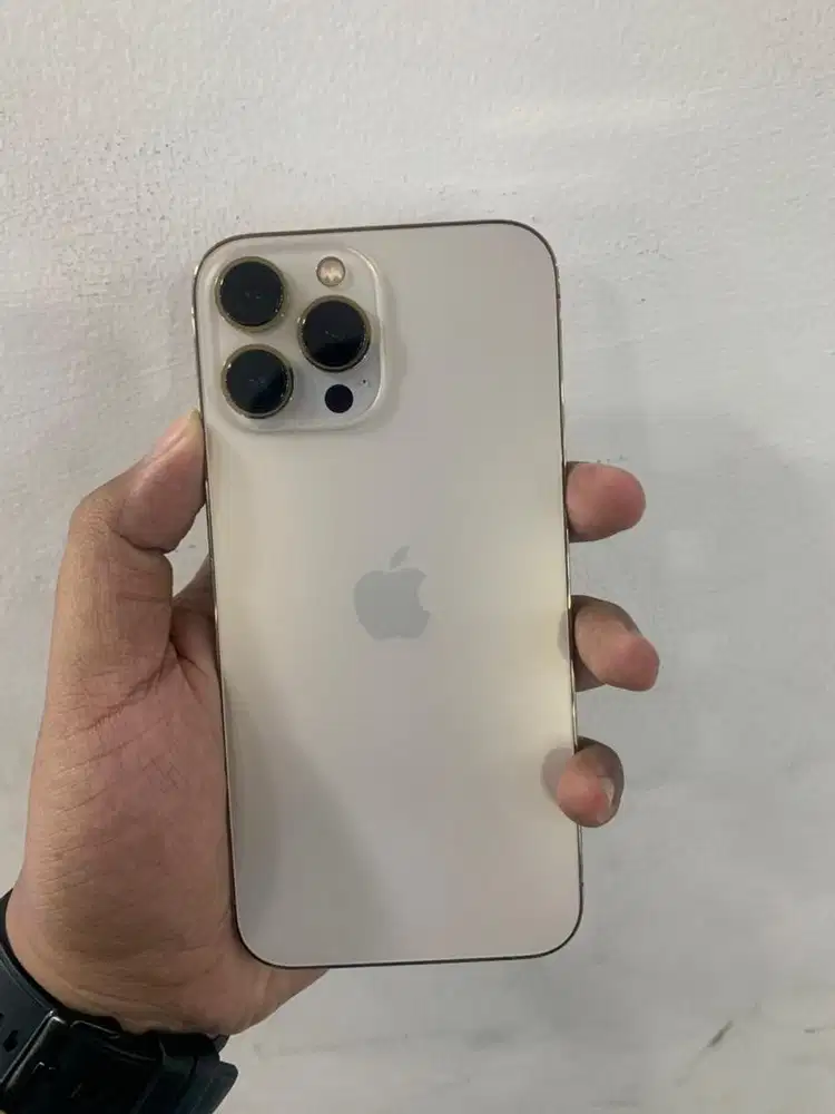 iphone 13 pm 256 inter