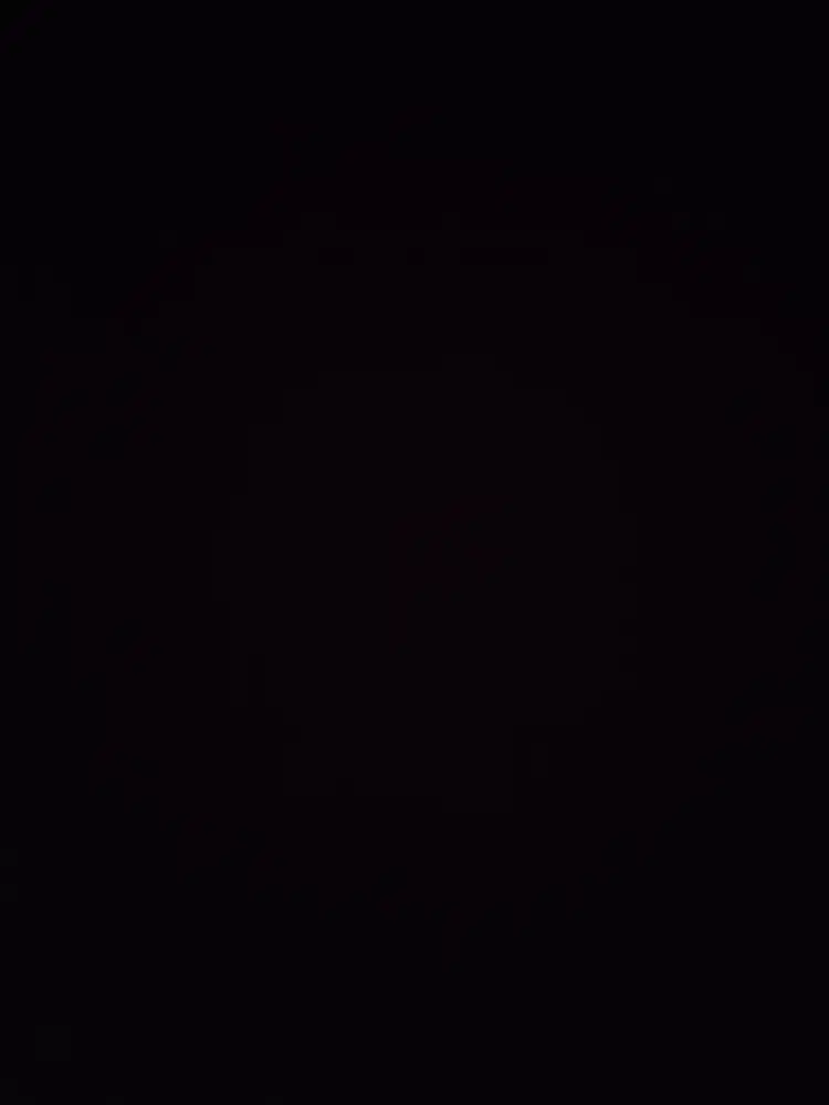 Pengasuh pembantu babysister