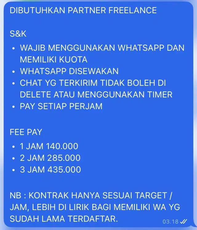 PARTNER/JOB FREELANCE