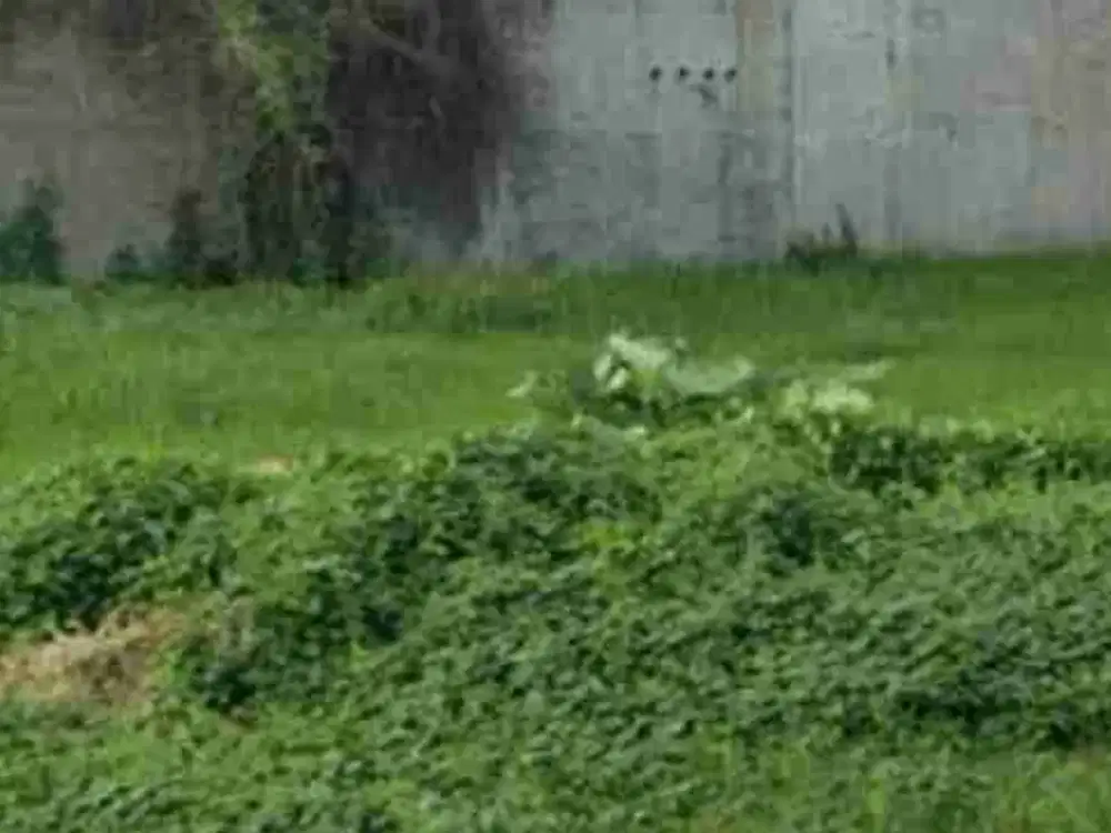 tanah jual murah aja di bintara jaya, dalam komplek