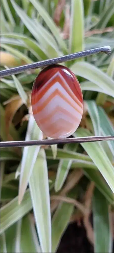 Batu Cincin Junder Super