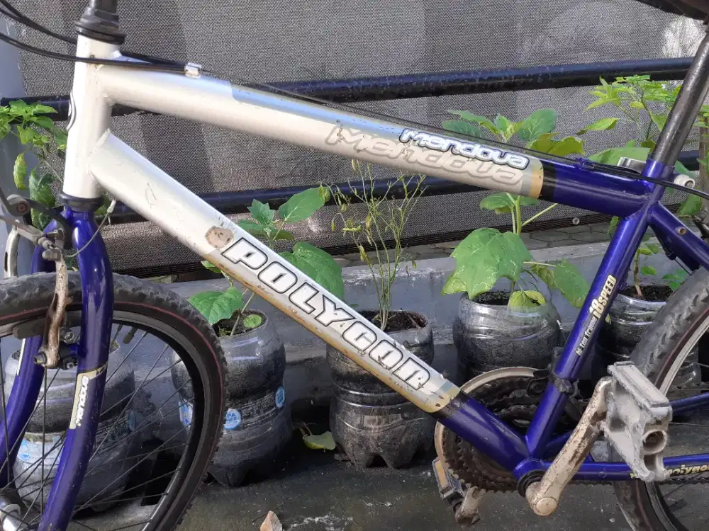 Sepeda polygon dijual.