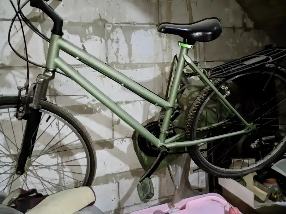 sepeda model federal lady