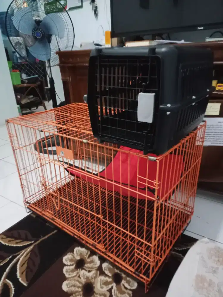 Kandang kucing dan petcargo