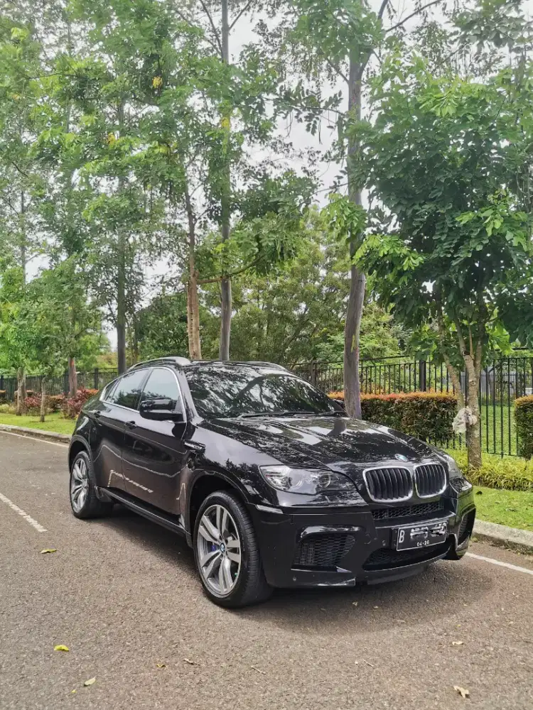 BMW X6M V8 Twin Turbo 2010 X6