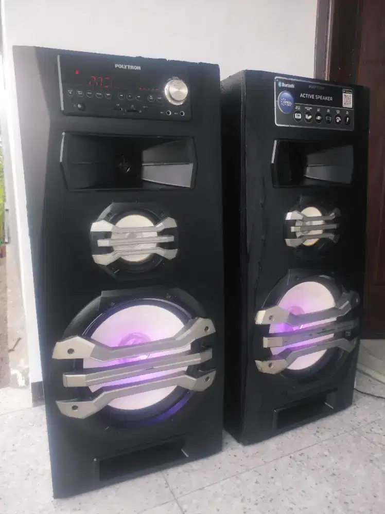 Speaker Polytron 12 inc