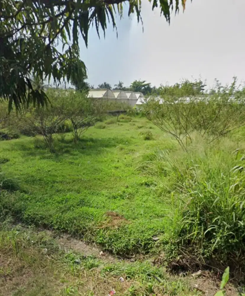 Tanah Tepi Jalan Palagan