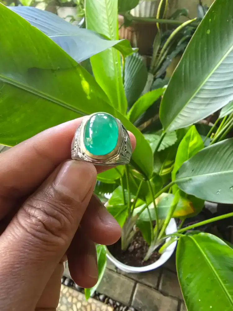 Batu giok burma type C warna ajib