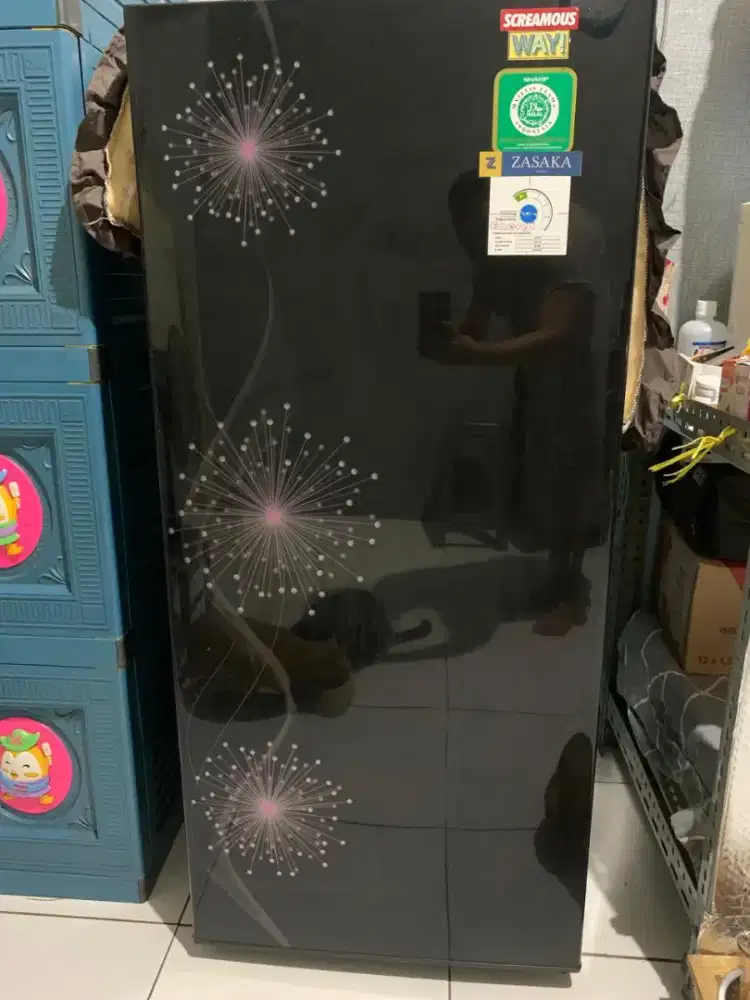 Kulkas sharp 1 pintu
