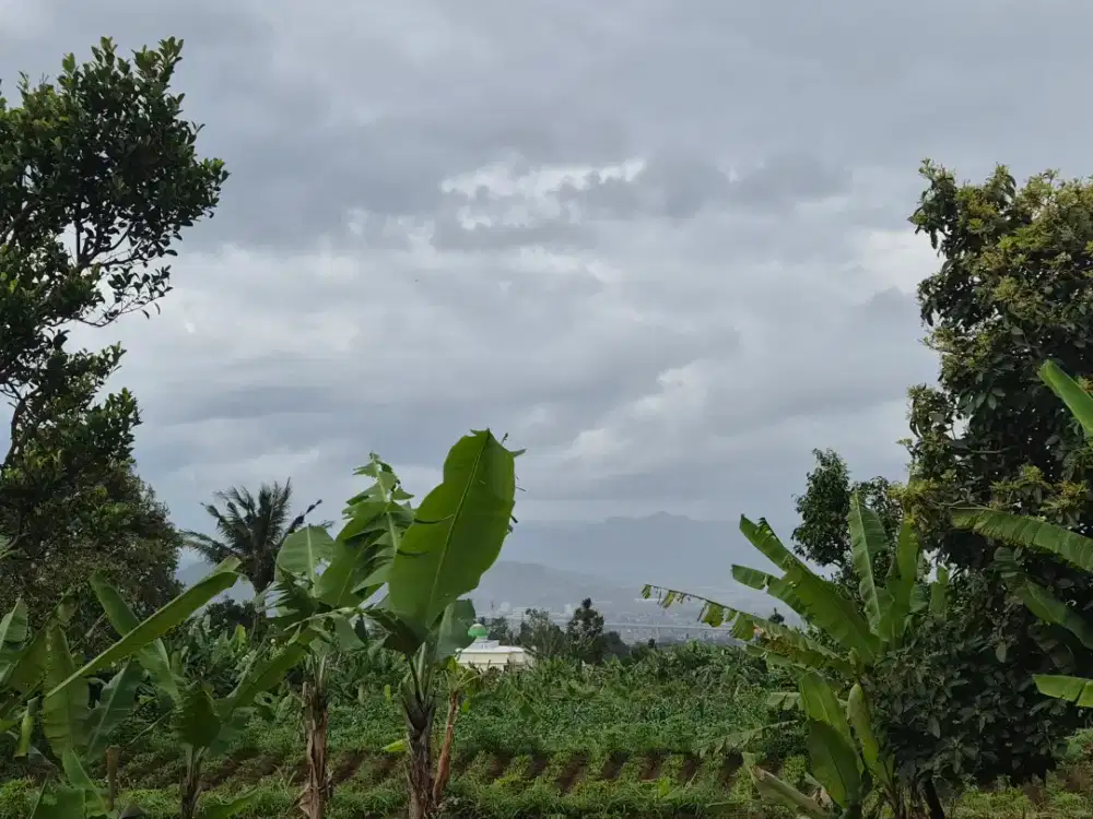 tanah murah padalarang harga dibawah pasar