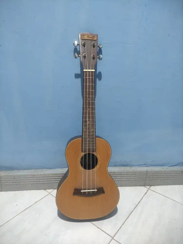 ukulele senar 4