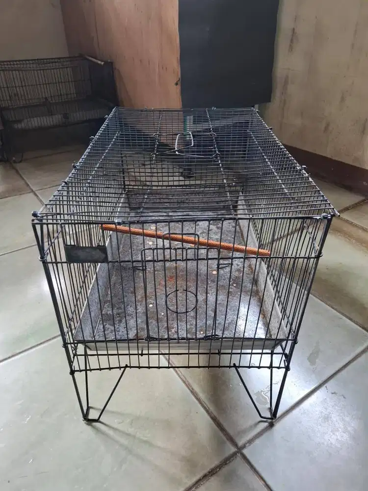 Keramba mandi burung cepuk mandi murai keramba mandi murai