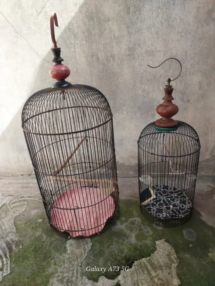 Kandang lb dan pleci