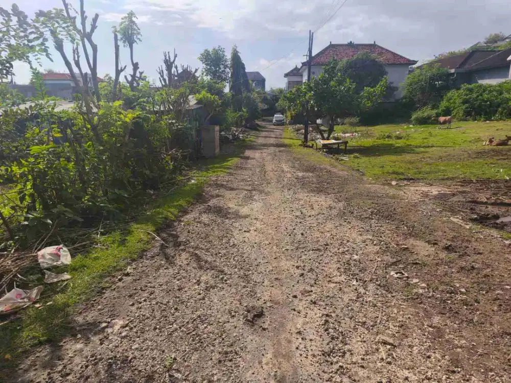 dijual tanah 5 are IDR 550 juta/are kawasan kampus unud jimbaran Kuta Selatan Badung Bali