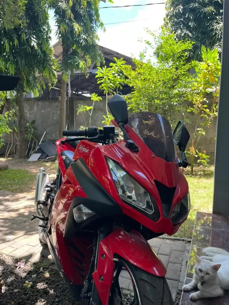 Kawasaki Ninja 250 Fi 2013