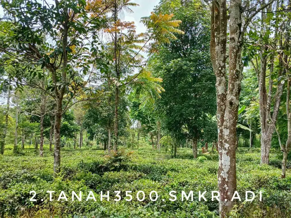 Dijual tanah luas rata padat pinggir jalan strategis view gunung dekat kota