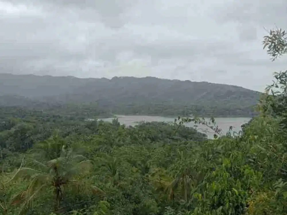 JUAL TANAH BONUS CAFE DI WADUK SERMO KULONPROGO